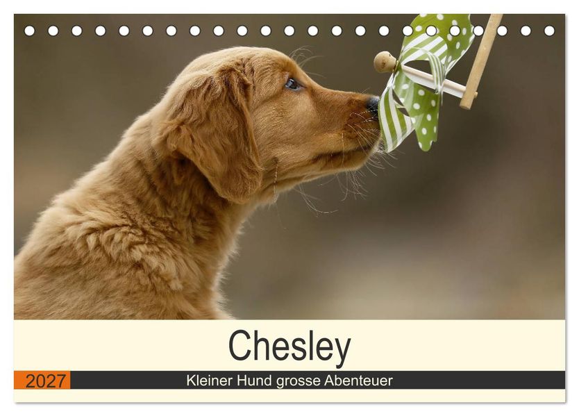 Chesley Kleiner Hund grosse Abenteuer (Tischkalender 2027 DIN A5 quer) CALVENDO Monatskalender