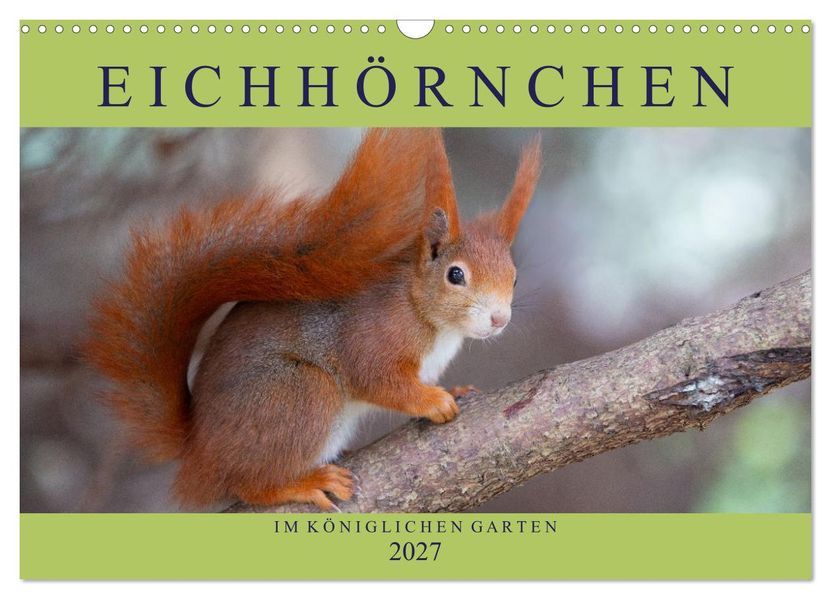 Eichhörnchen im Königlichen Garten (Wandkalender 2027 DIN A3 quer) CALVENDO Monatskalender