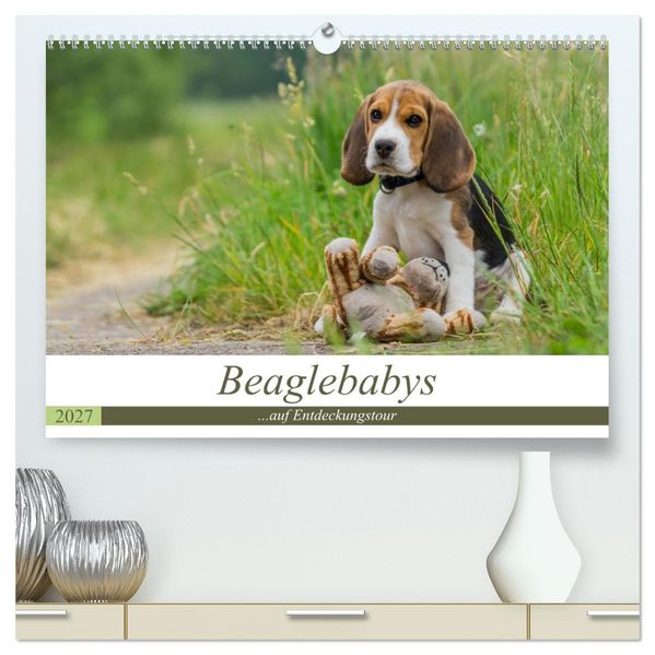 Beaglebabys auf Entdeckungstour (hochwertiger Premium Wandkalender 2027 DIN A2 quer) Kunstdruck in Hochglanz