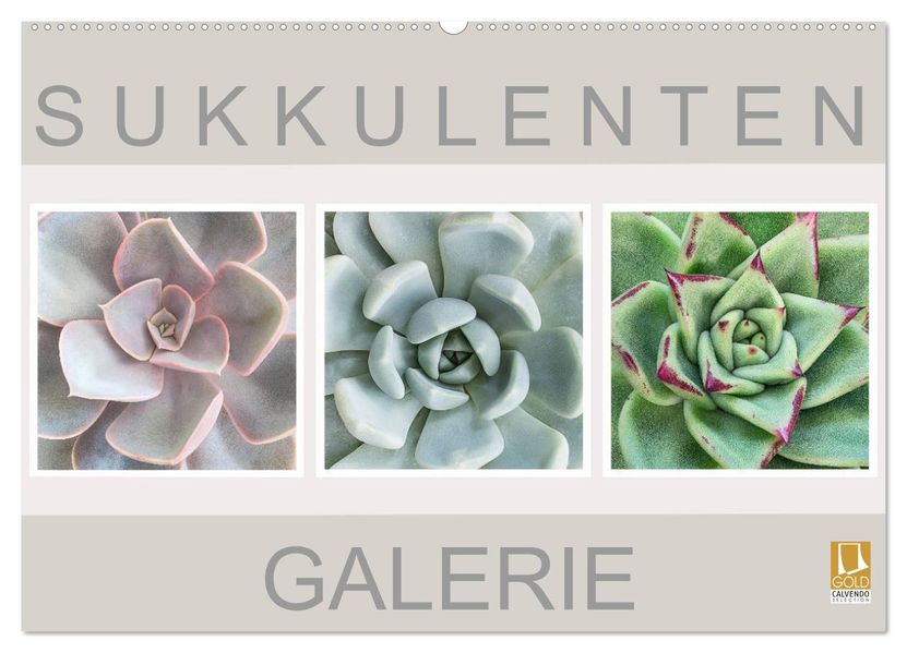 Sukkulenten Galerie (Wandkalender 2027 DIN A2 quer) CALVENDO Monatskalender
