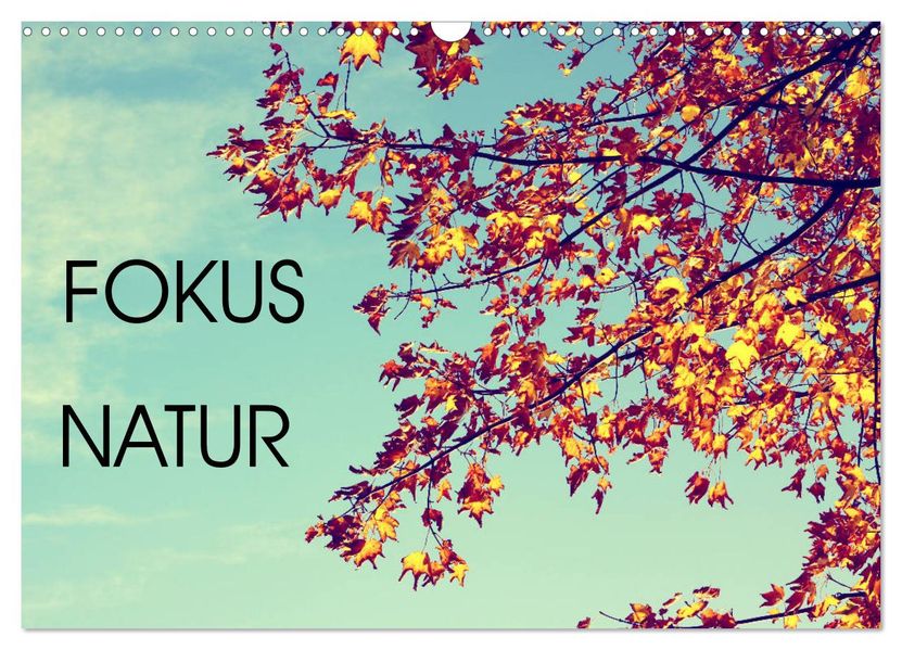 Focus Natur (Wandkalender 2027 DIN A3 quer) CALVENDO Monatskalender