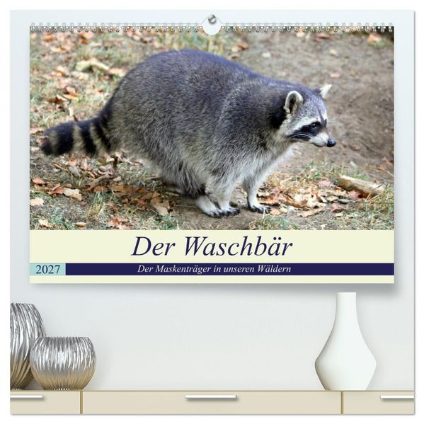 Der Waschbär - Der Maskenträger in unseren Wäldern (hochwertiger Premium Wandkalender 2027 DIN A2 quer) Kunstdruck in Hochglanz