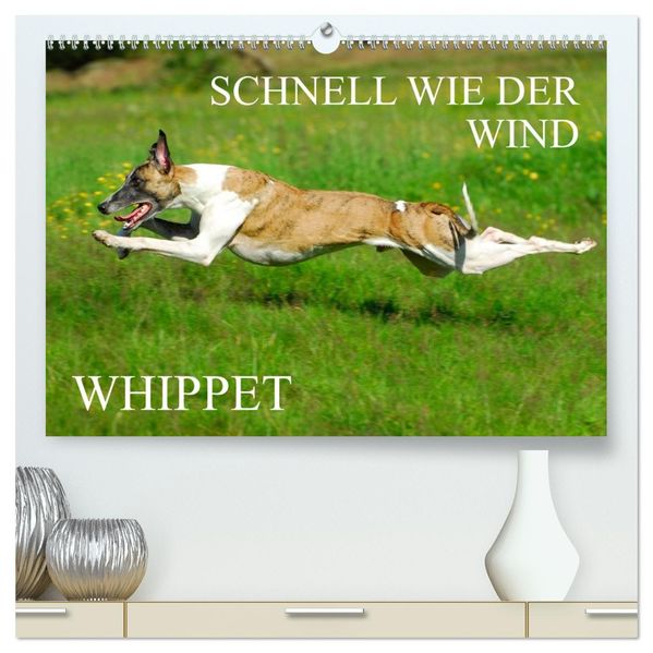 Schnell wie der Wind - Whippet (hochwertiger Premium Wandkalender 2027 DIN A2 quer) Kunstdruck in Hochglanz