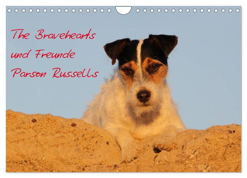 The Bravehearts und Freunde - Parson Russells (Wandkalender 2027 DIN A4 quer) CALVENDO Monatskalender