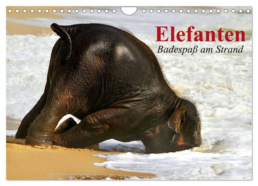 Elefanten. Badespaß am Strand (Wandkalender 2027 DIN A4 quer) CALVENDO Monatskalender