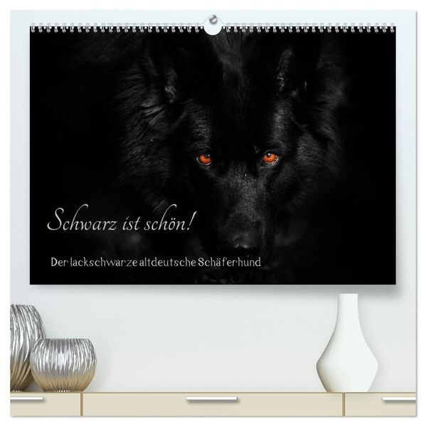 Schwarz ist schön! Der lackschwarze altdeutsche Schäferhund (hochwertiger Premium Wandkalender 2027 DIN A2 quer) Kunstdruck in Hochglanz