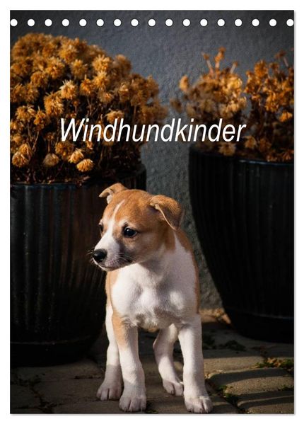 Windhundkinder (Tischkalender 2027 DIN A5 hoch) CALVENDO Monatskalender