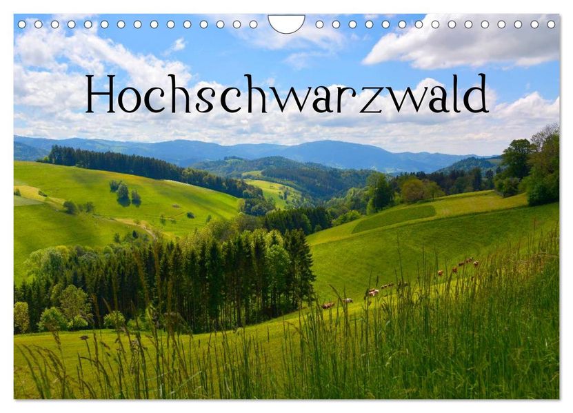 Hochschwarzwald (Wandkalender 2027 DIN A4 quer) CALVENDO Monatskalender