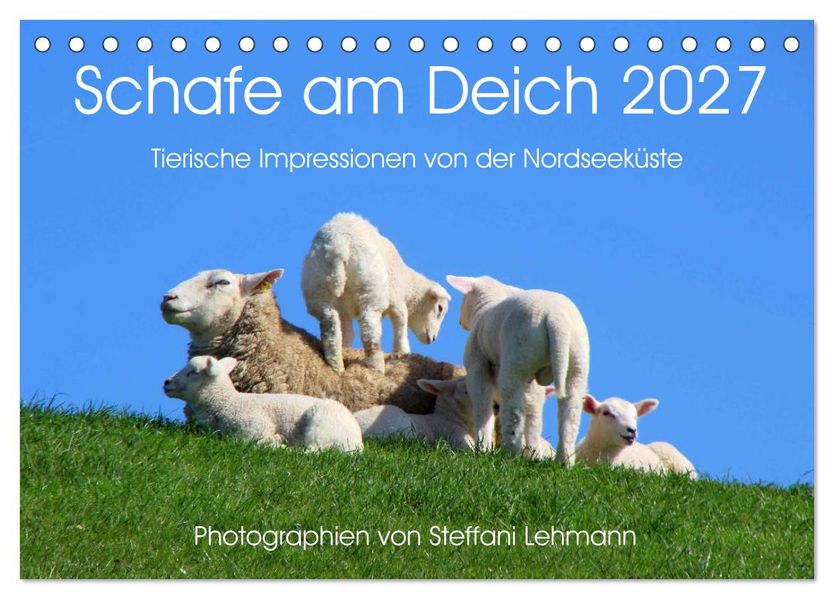 Schafe am Deich 2027. Tierische Impressionen von der Nordseeküste (Tischkalender 2027 DIN A5 quer) CALVENDO Monatskalender