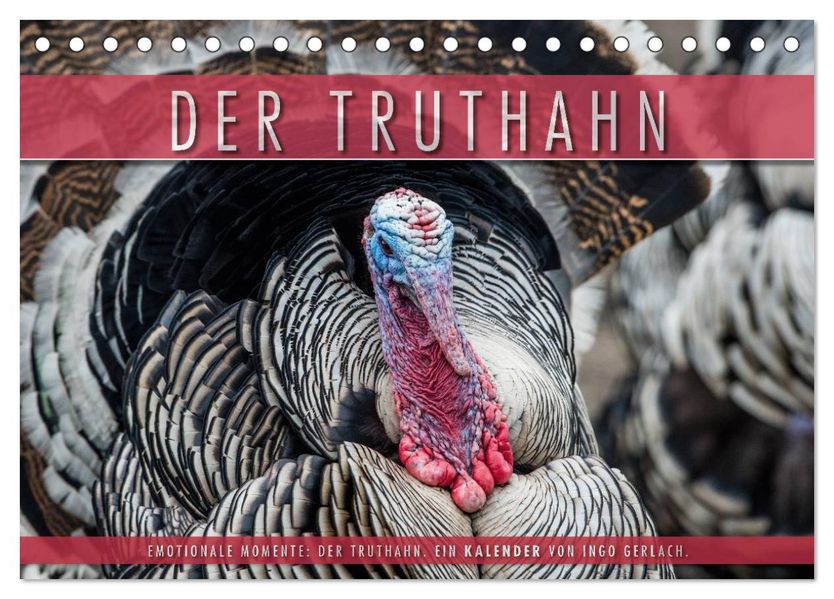Emotionale Momente: Der Truthahn. (Tischkalender 2027 DIN A5 quer) CALVENDO Monatskalender
