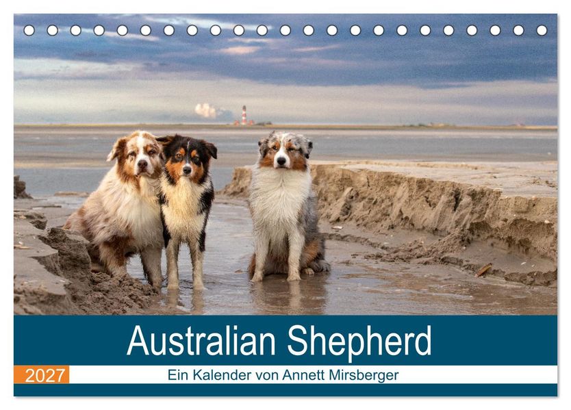 Australian Shepherd 2027 (Tischkalender 2027 DIN A5 quer) CALVENDO Monatskalender