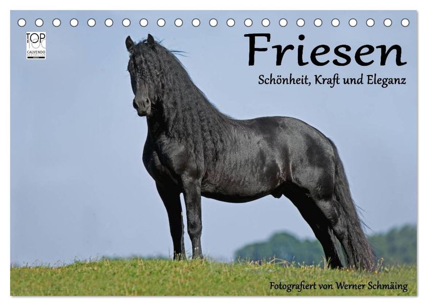 Friesen - Schönheit Kraft und Eleganz (Tischkalender 2027 DIN A5 quer) CALVENDO Monatskalender