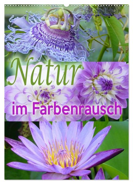 Natur im Farbenrausch (Wandkalender 2027 DIN A2 hoch) CALVENDO Monatskalender