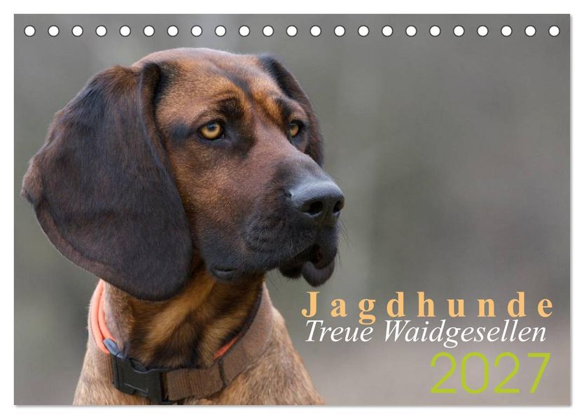 Jagdhunde - Treue Waidgesellen (Tischkalender 2027 DIN A5 quer) CALVENDO Monatskalender