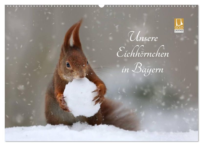 Unsere Eichhörnchen in Bayern (Wandkalender 2027 DIN A2 quer) CALVENDO Monatskalender