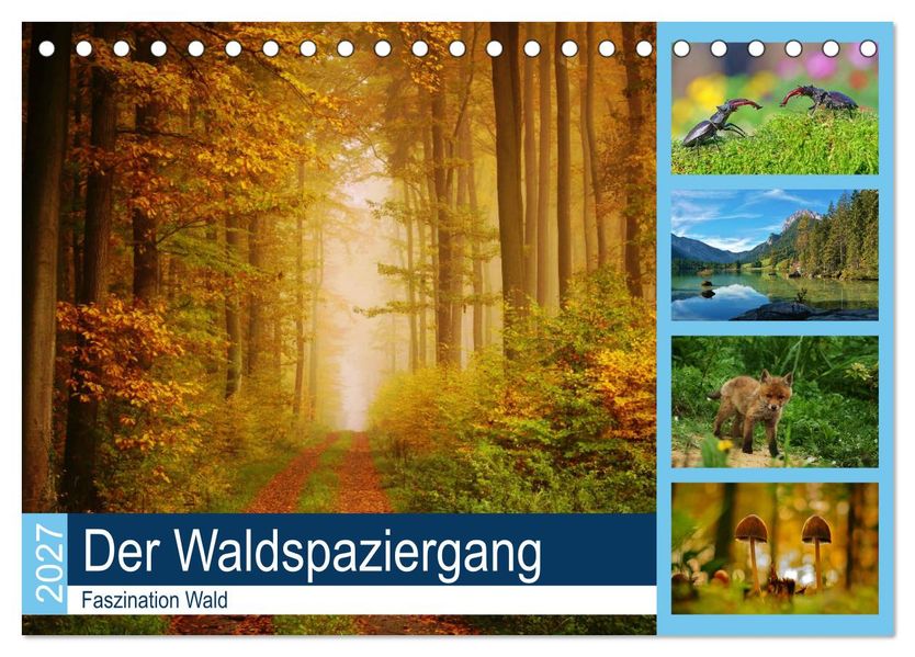 Der Waldspaziergang (Tischkalender 2027 DIN A5 quer) CALVENDO Monatskalender