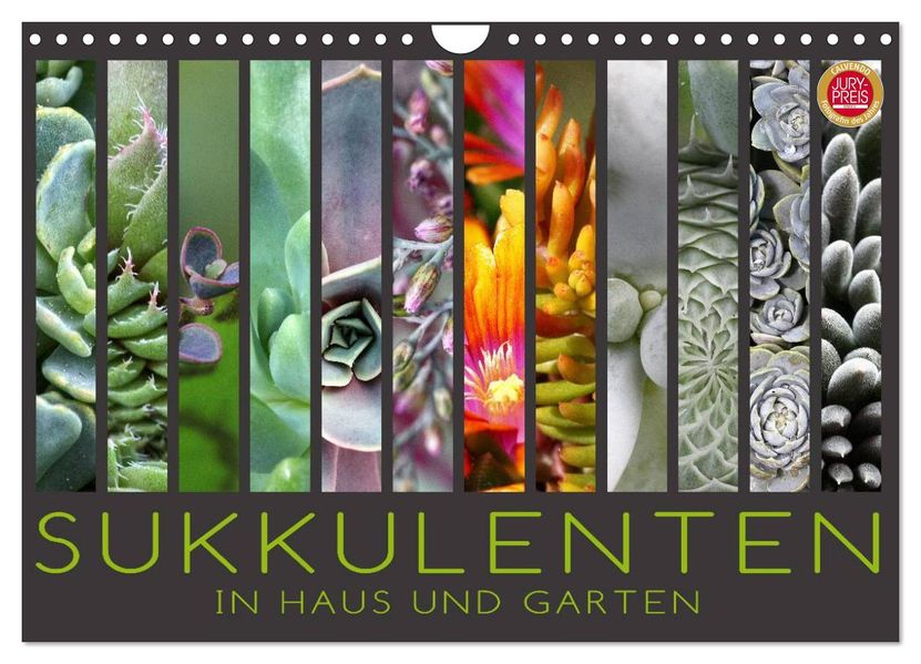 Sukkulenten in Haus und Garten (Wandkalender 2027 DIN A4 quer) CALVENDO Monatskalender