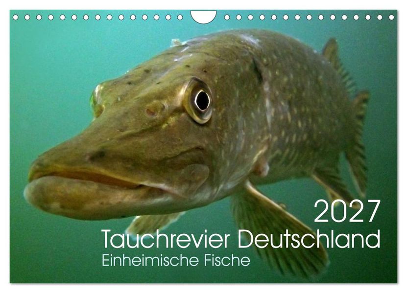Tauchrevier Deutschland (Wandkalender 2027 DIN A4 quer) CALVENDO Monatskalender