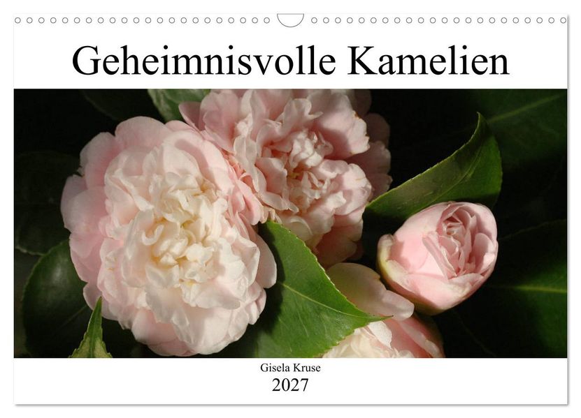 Geheimnisvolle Kamelien (Wandkalender 2027 DIN A3 quer) CALVENDO Monatskalender