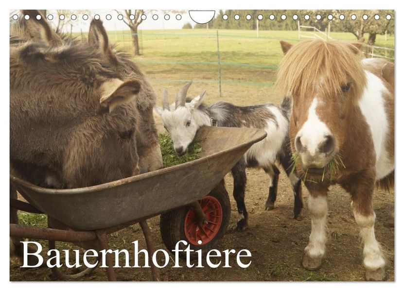Bauernhoftiere (Wandkalender 2027 DIN A4 quer) CALVENDO Monatskalender