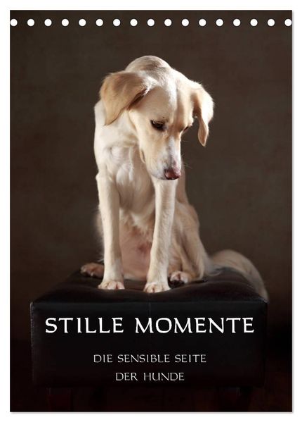 Stille Momente - Die sensible Seite der Hunde (Tischkalender 2027 DIN A5 hoch) CALVENDO Monatskalender