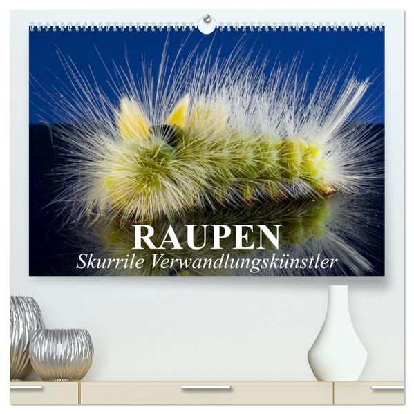 Raupen - Skurrile Verwandlungskünstler (hochwertiger Premium Wandkalender 2027 DIN A2 quer) Kunstdruck in Hochglanz