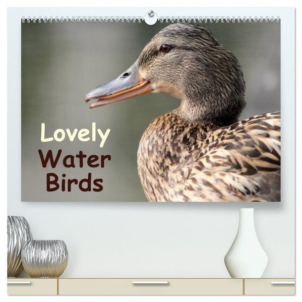 Lovely Water Birds (High Quality Premium Wall Calendar 2027 DIN A2 landscape)CALVENDO 12 Month Wall Calendar