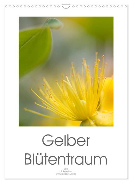 Gelber Blütentraum (Wandkalender 2027 DIN A3 hoch) CALVENDO Monatskalender