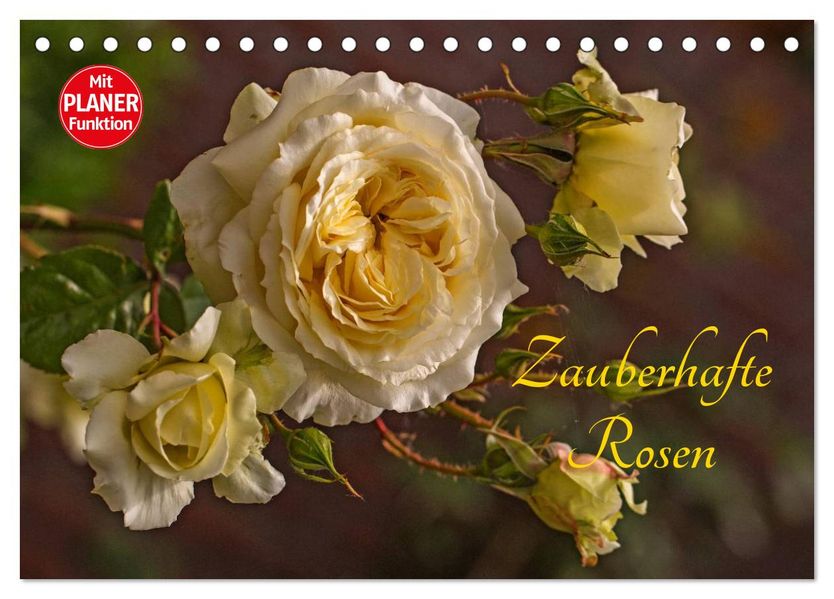 Zauberhafte Rosen (Tischkalender 2027 DIN A5 quer) CALVENDO Monatskalender
