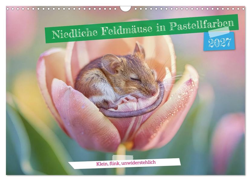 Niedliche Feldmäuse in Pastellfarben (Wandkalender 2027 DIN A3 quer) CALVENDO Monatskalender