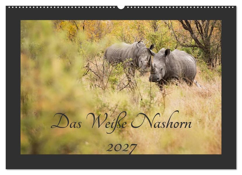 Das Weiße Nashorn (Wandkalender 2027 DIN A2 quer) CALVENDO Monatskalender