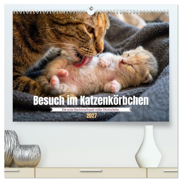 Besuch im Katzenkörbchen (hochwertiger Premium Wandkalender 2027 DIN A2 quer) Kunstdruck in Hochglanz