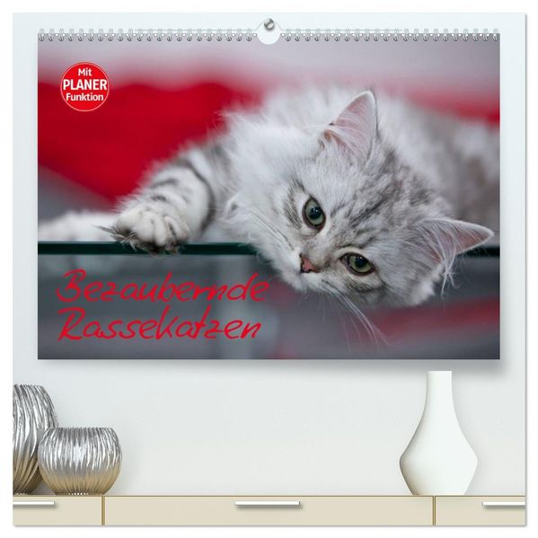 Bezaubernde Rassekatzen (hochwertiger Premium Wandkalender 2027 DIN A2 quer) Kunstdruck in Hochglanz