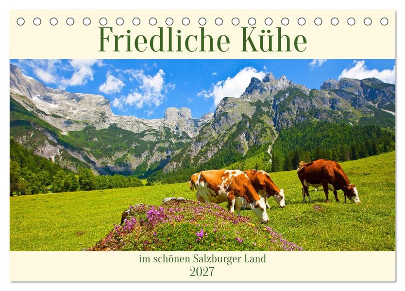 Friedliche Kühe (Tischkalender 2027 DIN A5 quer) CALVENDO Monatskalender