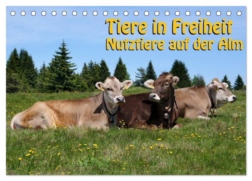 Tiere in Freiheit - Nutztiere auf der Alm (Tischkalender 2027 DIN A5 quer) CALVENDO Monatskalender