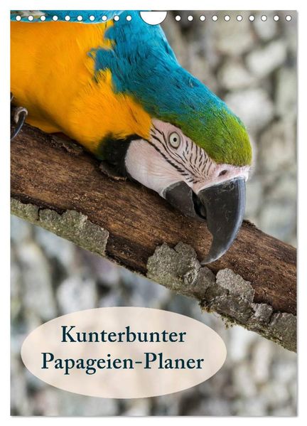 Kunterbunter Papageien-Planer (Wandkalender 2027 DIN A4 hoch) CALVENDO Monatskalender