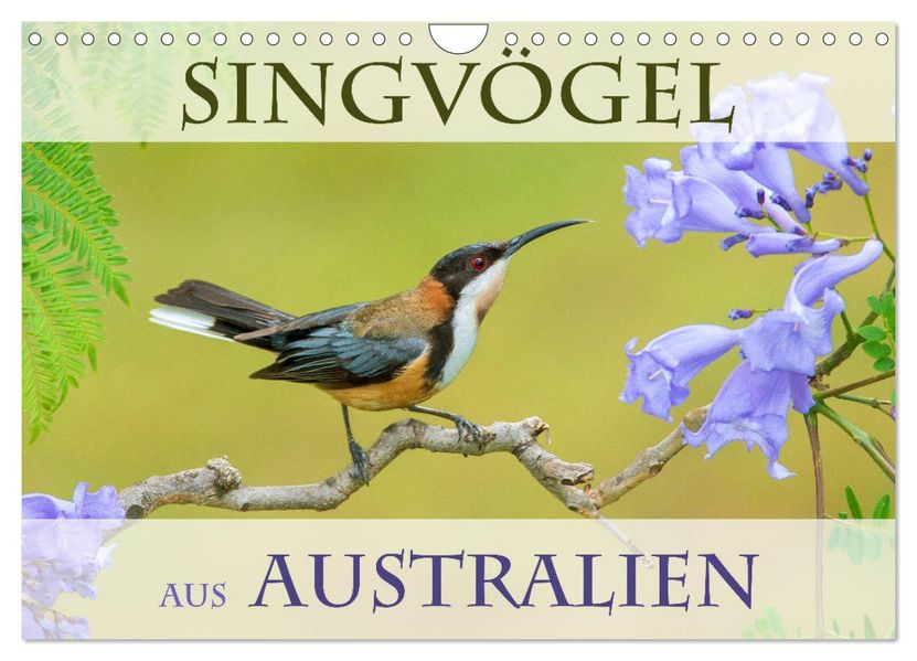 Singvögel aus Australien (Wandkalender 2027 DIN A4 quer) CALVENDO Monatskalender