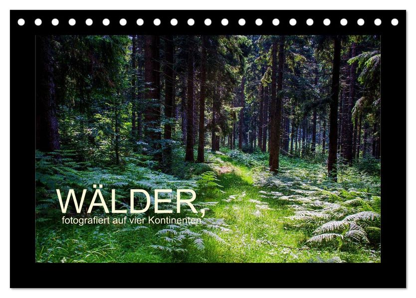 Wälder fotografiert auf vier Kontinenten (Tischkalender 2027 DIN A5 quer) CALVENDO Monatskalender
