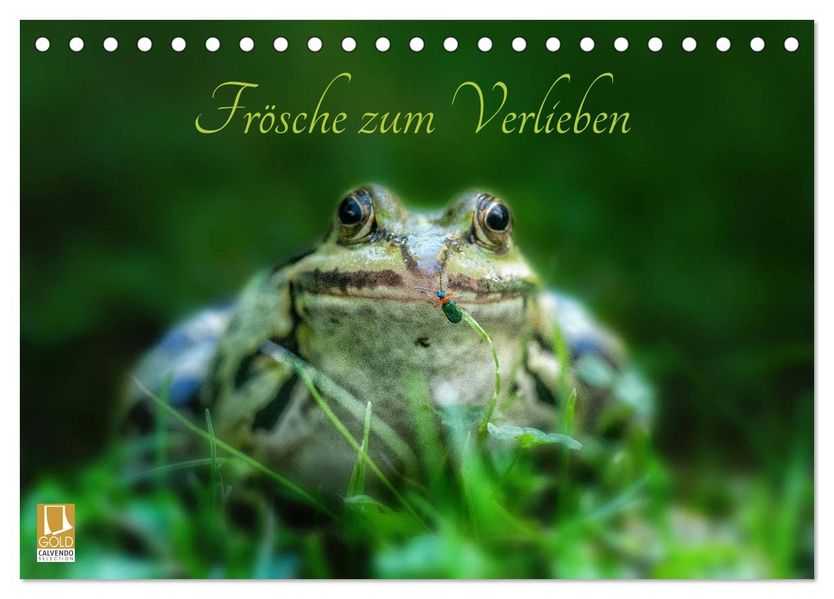 Frösche zum Verlieben (Tischkalender 2027 DIN A5 quer) CALVENDO Monatskalender