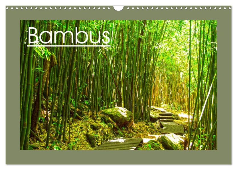 Bambus (Wandkalender 2027 DIN A3 quer) CALVENDO Monatskalender