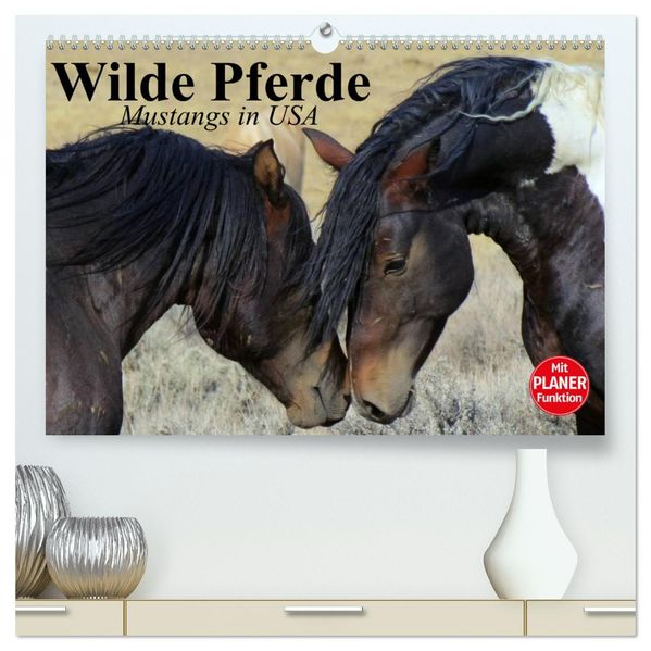 Wilde Pferde. Mustangs in USA (hochwertiger Premium Wandkalender 2027 DIN A2 quer) Kunstdruck in Hochglanz