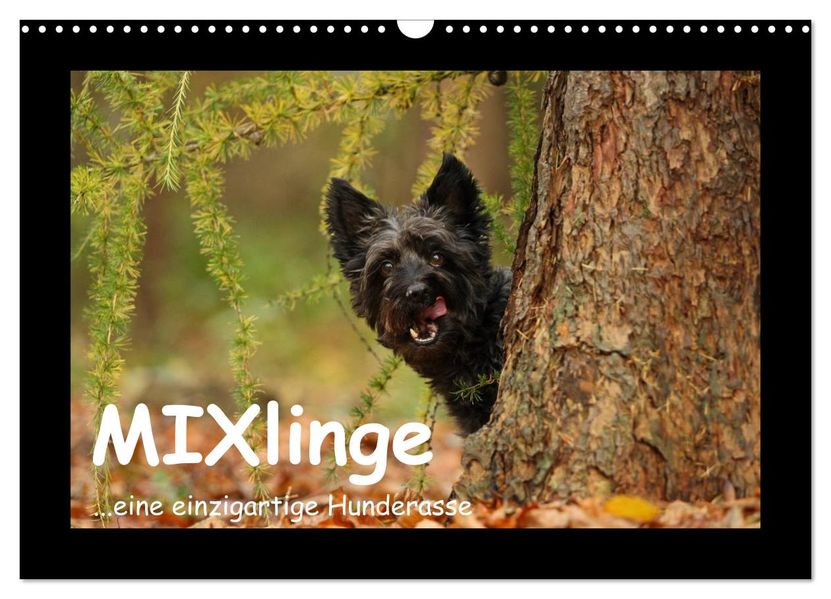 MIXlinge (Wandkalender 2027 DIN A3 quer) CALVENDO Monatskalender