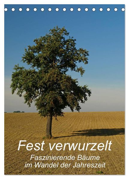 Fest verwurzelt - Faszinierende Bäume im Wandel der Jahreszeit (Tischkalender 2027 DIN A5 hoch) CALVENDO Monatskalender