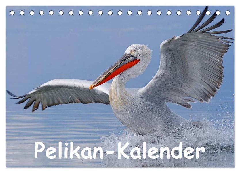 Pelikan-Kalender (Tischkalender 2027 DIN A5 quer) CALVENDO Monatskalender