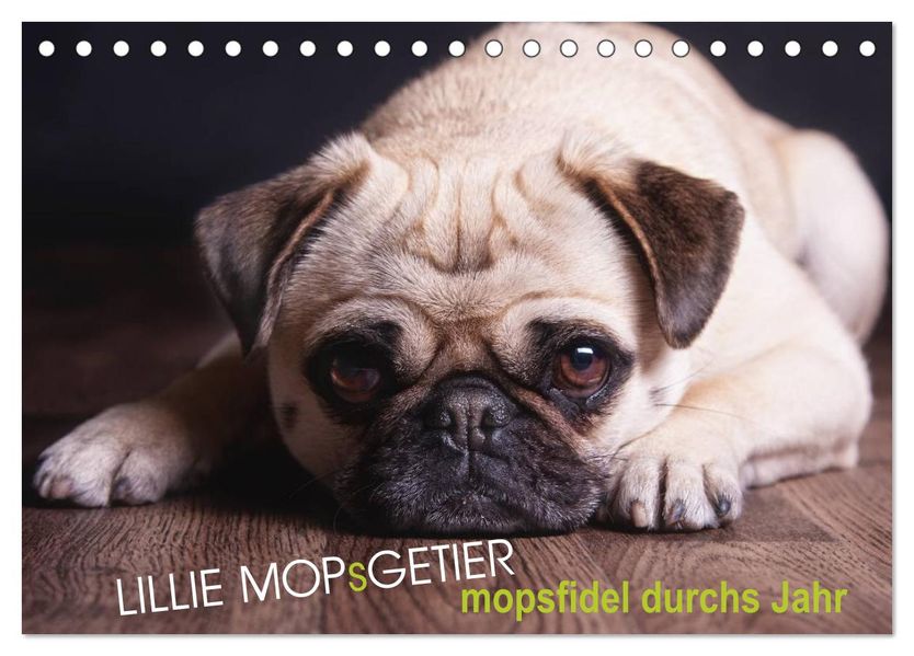 Lillie Mopsgetier - mopsfidel durchs Jahr (Tischkalender 2027 DIN A5 quer) CALVENDO Monatskalender