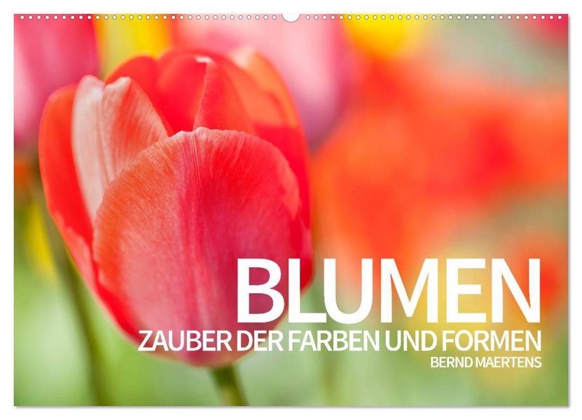 BLUMEN Zauber der Farben und Formen (Wandkalender 2027 DIN A2 quer) CALVENDO Monatskalender