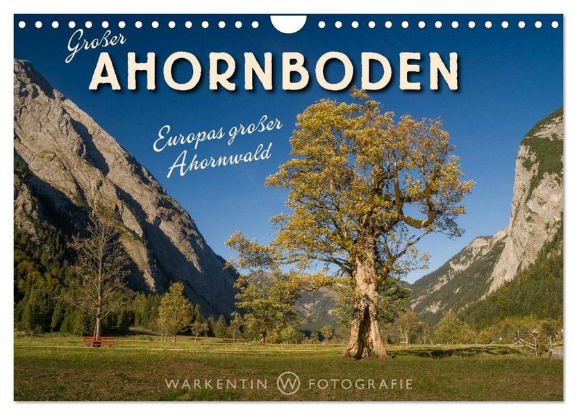 Großer Ahornboden - Europas großer Ahornwald (Wandkalender 2027 DIN A4 quer) CALVENDO Monatskalender