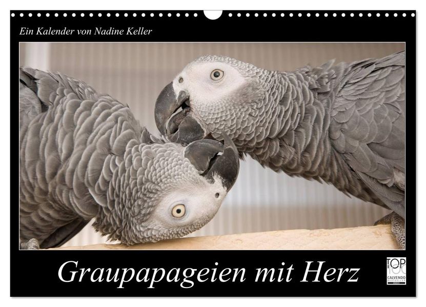 Graupapageien mit Herz (Wandkalender 2027 DIN A3 quer) CALVENDO Monatskalender