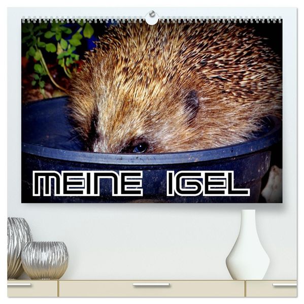 Meine Igel (hochwertiger Premium Wandkalender 2027 DIN A2 quer) Kunstdruck in Hochglanz
