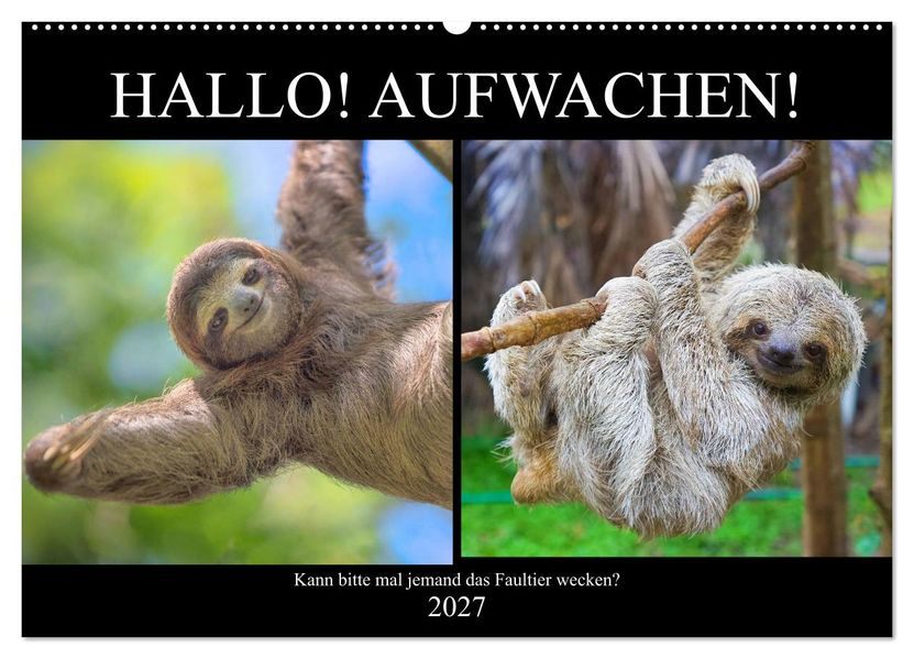 Hallo! Aufwachen! Kann bitte mal jemand das Faultier wecken? (Wandkalender 2027 DIN A2 quer) CALVENDO Monatskalender